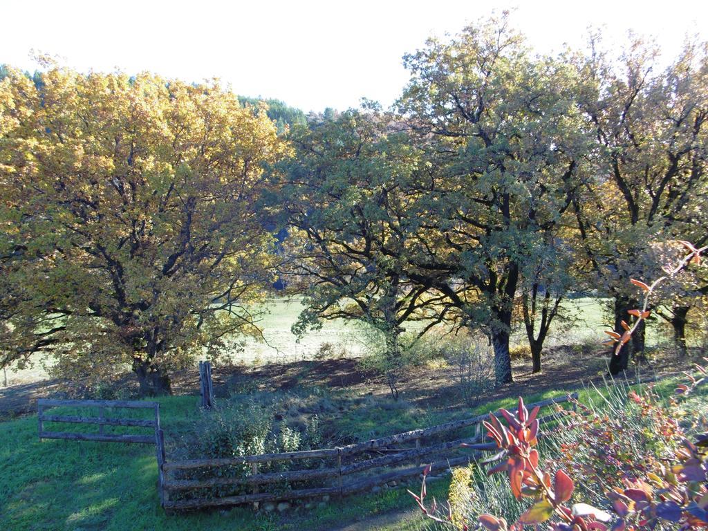 Bed and Breakfast La Ferme De Valauris Sisteron Zewnętrze zdjęcie